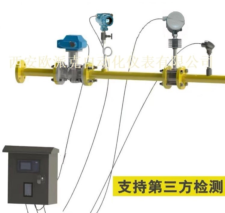 西安蒸汽涡街流量计（分体式）